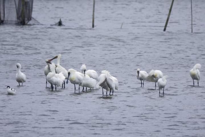 Appartamento Water Bird Family Toucheng Esterno foto