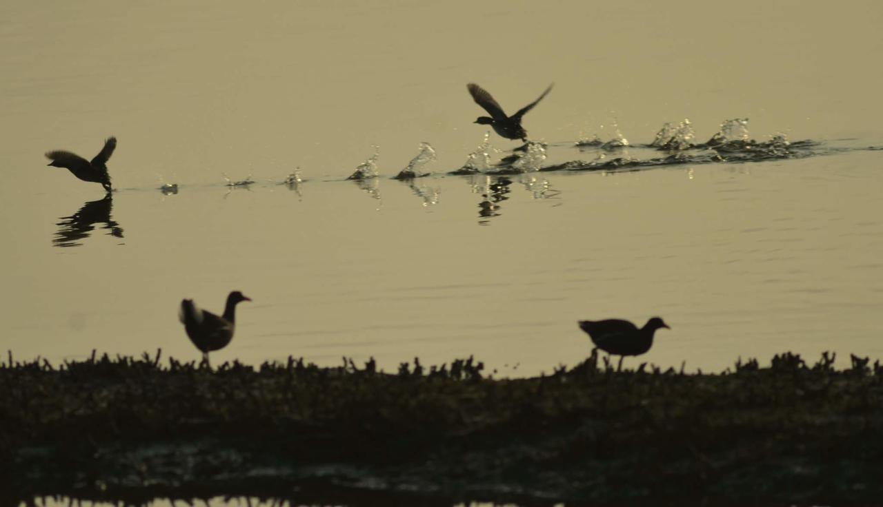 Appartamento Water Bird Family Toucheng Esterno foto